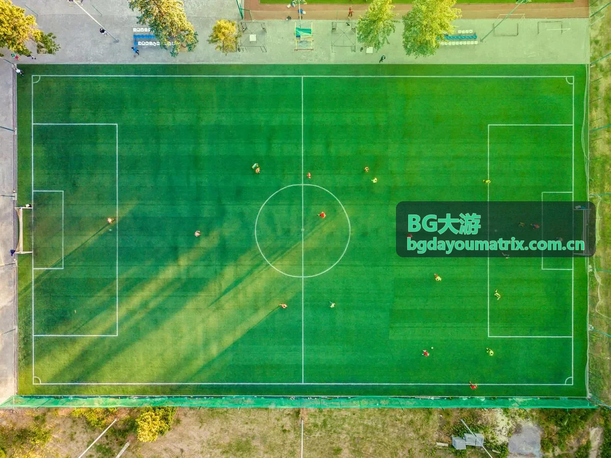 BG大游安心使用主题合集
