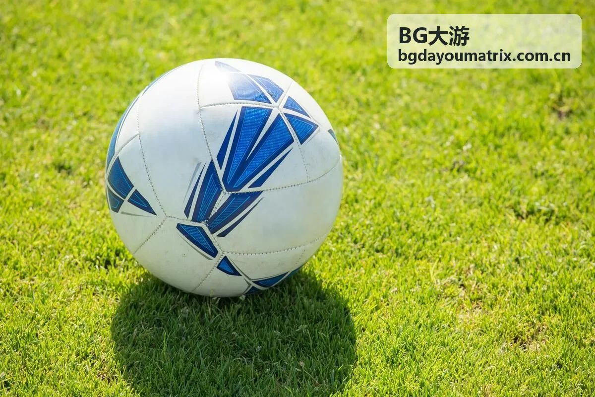 BG大游会员专享主题合集
